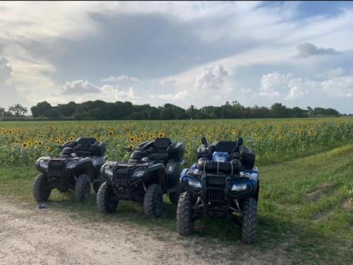 atv-tours14